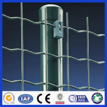 PVC coated Euro fence (professional factory best price)